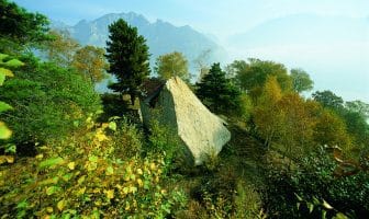 Masso erratico di Preguda sopra Valmadrera