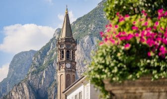 Campanile di San Nicolò con Monte San Martino e fiori rosa