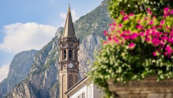 Campanile di San Nicolò con Monte San Martino e fiori rosa