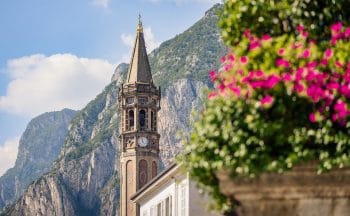 Campanile di San Nicolò con Monte San Martino e fiori rosa