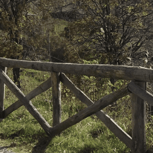 Sentiero verso il Monte Tesoro