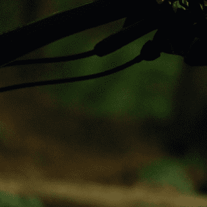 Escursione in mountain bike da Lecco a Consonno