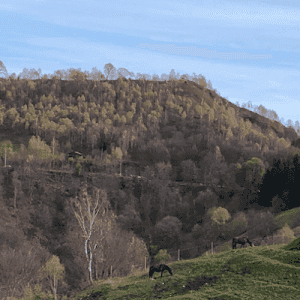 Alla scoperta della Bassa Valtellina in bicicletta