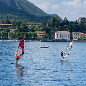 Learn the basics of windsurfing