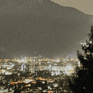 Trekking serale alla scoperta dei segreti del bosco