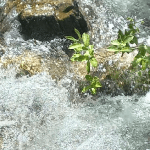 Walking to the Cenghen waterfall from Abbadia Lariana