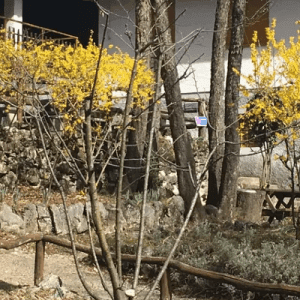 Escursione al Monte Barro tra natura e Krav Maga