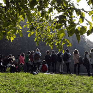 Archeologia e storia al Parco Monte Barro