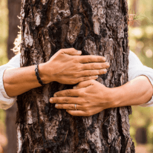 Forest Bathing con trekking sul Monte Muggio