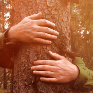 Forest bathing nei boschi di San Genesio