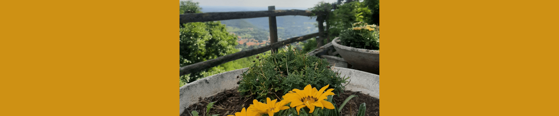 Panorami, vigneti e sapori della Brianza