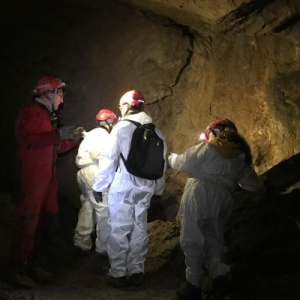 Hike to the discovery of the Grotta Ferrera